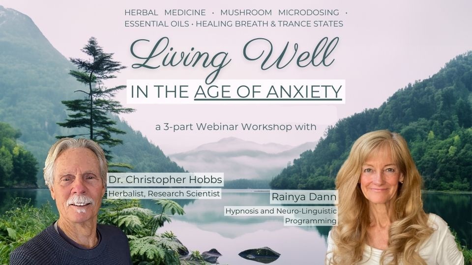 New Workshop Series: Living Well in the Age of Anxiety 1 Age of anxiety 2 FINAL